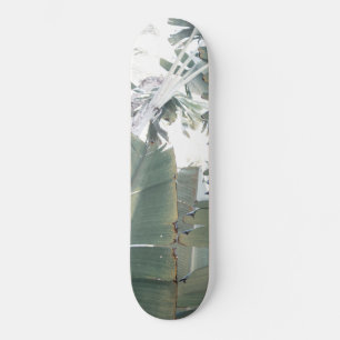 Jungle Finesse #1 #tropical #wall #art Skateboard