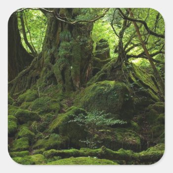 Jungle Forest Of Moss Square Sticker by Beauty_of_Nature at Zazzle
