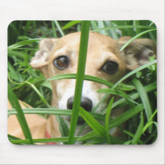 Jungle Iggy Mouse Pad