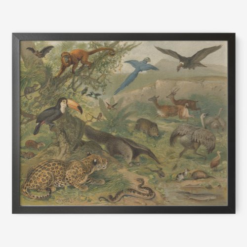 Jungle Jaguar and Animal Friends Poster