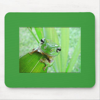 Jungle Jewels Mouse Pad