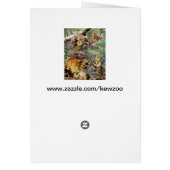 Jungle Jive Card (Back)