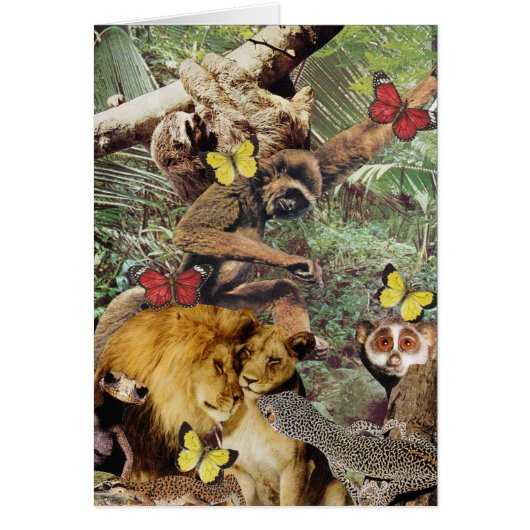 Jungle Jive Card (Front)