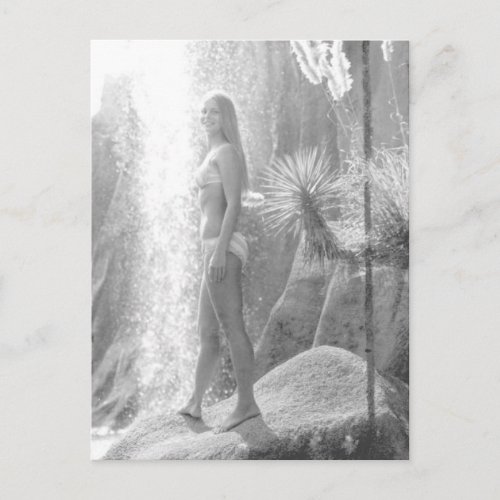 Jungle Land in Panama City Bikini girl photo Postcard