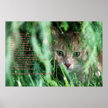 Jungle Legend Poster by wottwin at Zazzle
