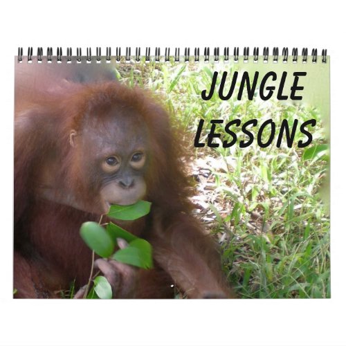 Jungle Lessons Wild Animal calendar