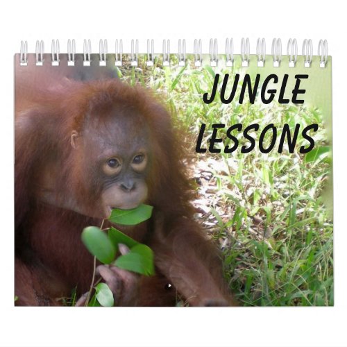 Jungle Lessons wildlife calendar