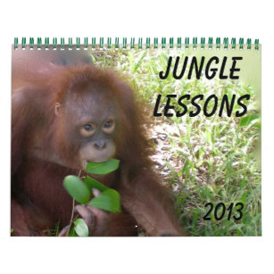 Jungle Lessons Wildlife Orangutans Calendar