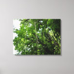 Jungle Ropes Rainforest Photography Canvas Print