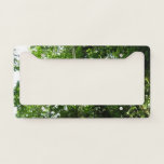 Jungle Ropes Rainforest Photography License Plate Frame