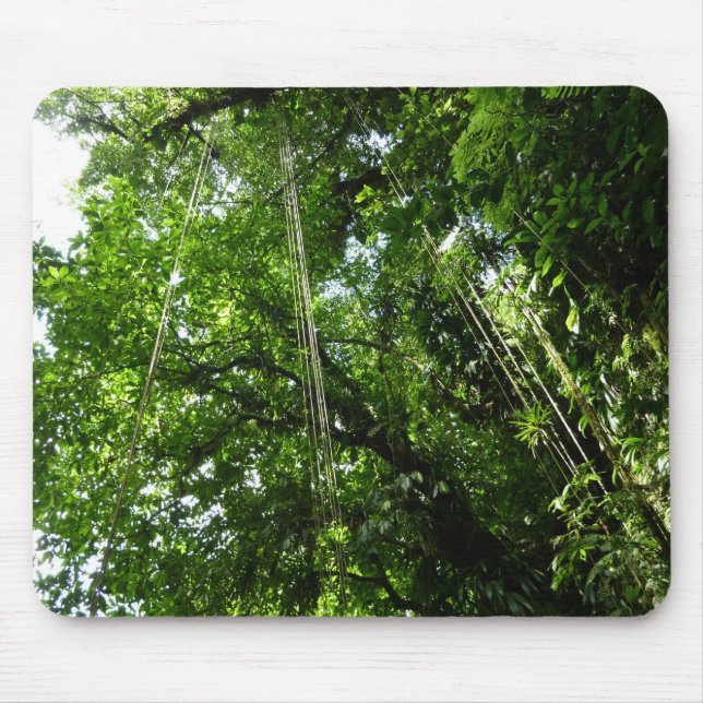Jungle Ropes Rainforest Photography Mouse Pad (Front)