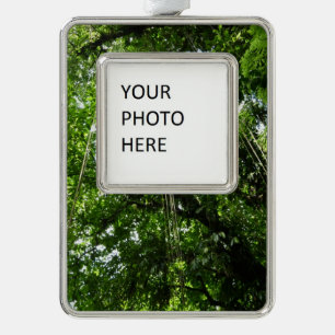 Jungle Ropes Rainforest Photography Ornament