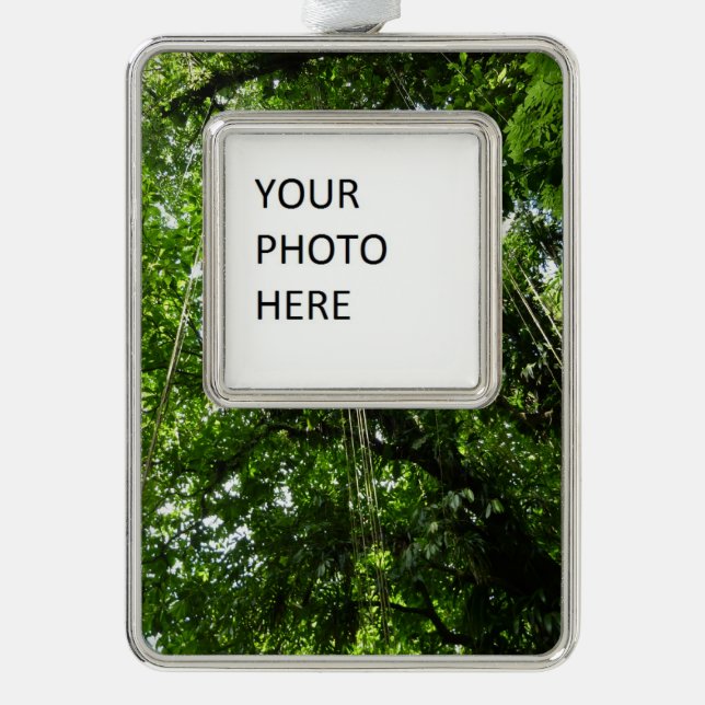 Jungle Ropes Rainforest Photography Ornament (Front)