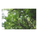 Jungle Ropes Rainforest Photography Rectangular Sticker