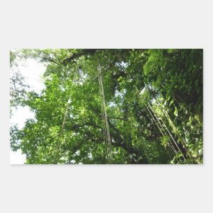 Jungle Ropes Rainforest Photography Rectangular Sticker