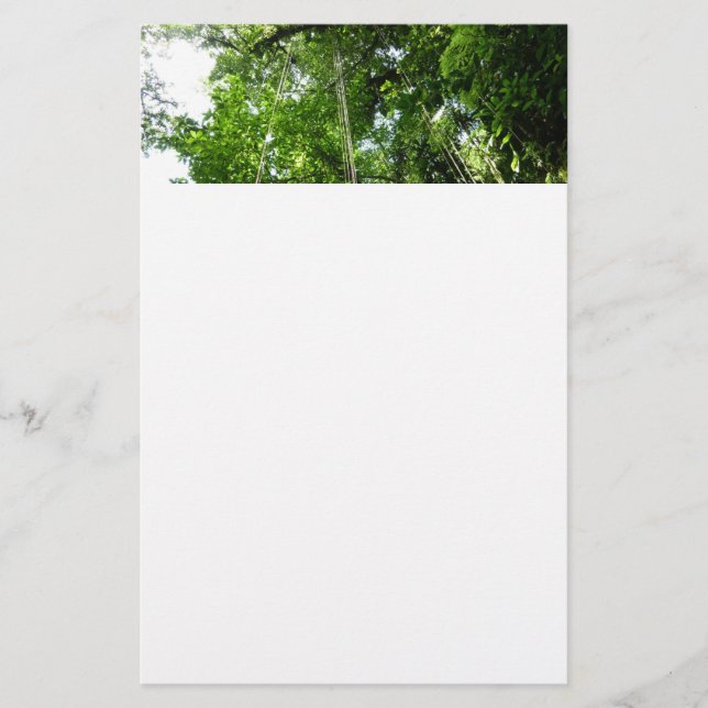 Jungle Ropes Rainforest Photography Stationery (Front)