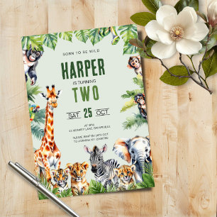 Jungle Safari 2nd Birthday Invitation