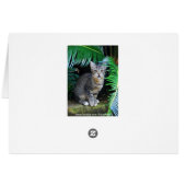 Jungle Tabby Kitten Card (Back Horizontal)