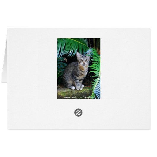 Jungle Tabby Kitten Card (Back Horizontal)