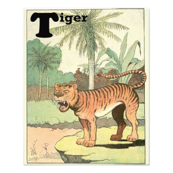 Jungle Tiger Alphabet Letter Photo Print by kidslife at Zazzle