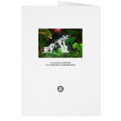 Jungle Waterfall Wilderness Acrylic Painting (Back)