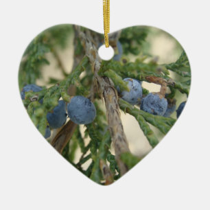 Juniper Berry Ornament