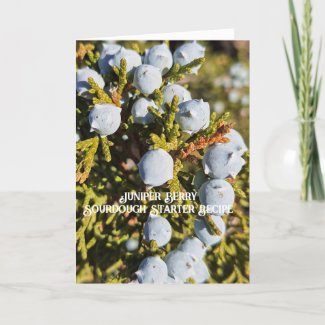 Juniper Berry Sourdough Starter Recipe Card