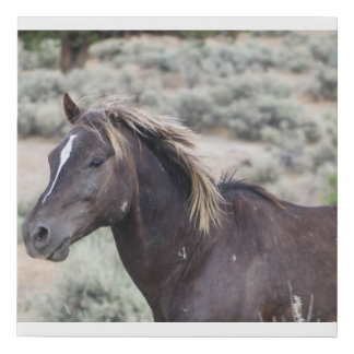 Juniper Faux Canvas Print