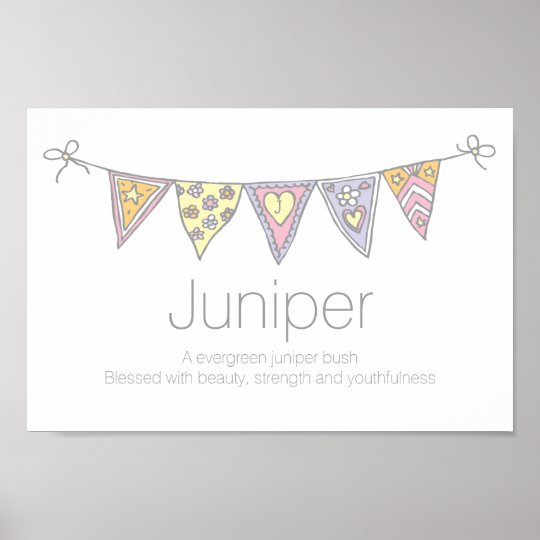 Juniper girls name and meaning bunting poster