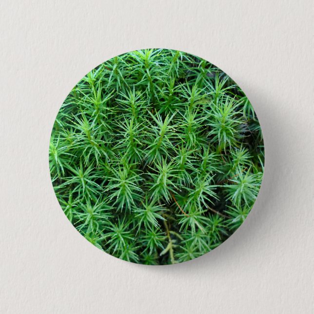 Juniper Hair Cap Moss Badge Button (Front)