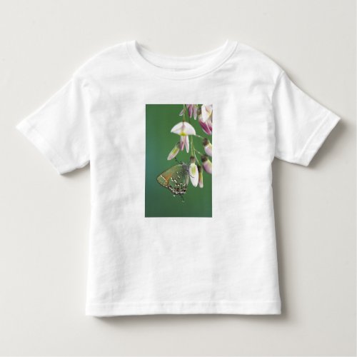 Juniper Hairstreak Callophrys gryneus adult on Toddler T_shirt