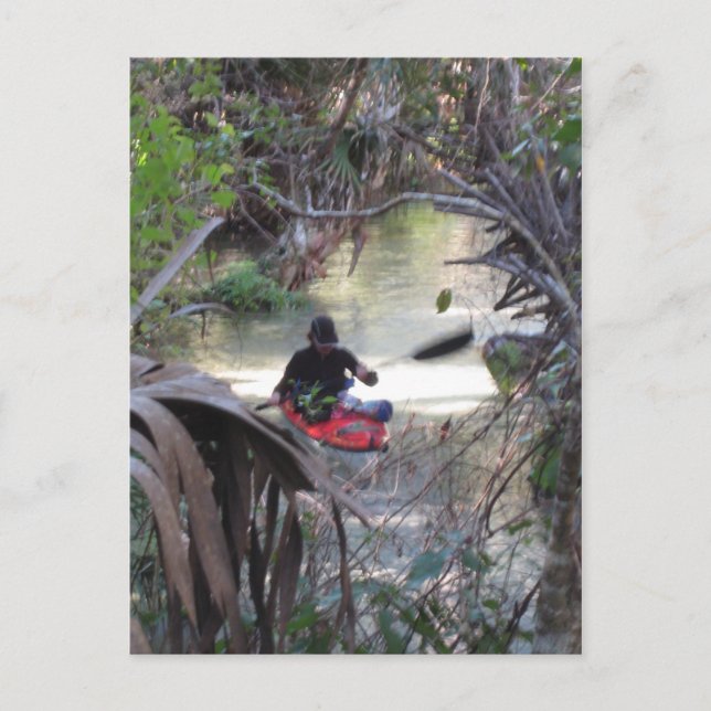 Juniper Springs, Fl Postcard (Front)