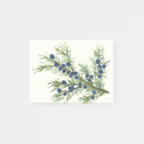 Juniper twig with blue berries post_it notes