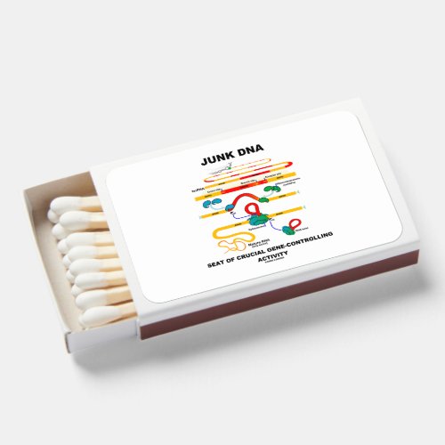 Junk DNA Seat Of Crucial Gene_Controlling Activity Matchboxes