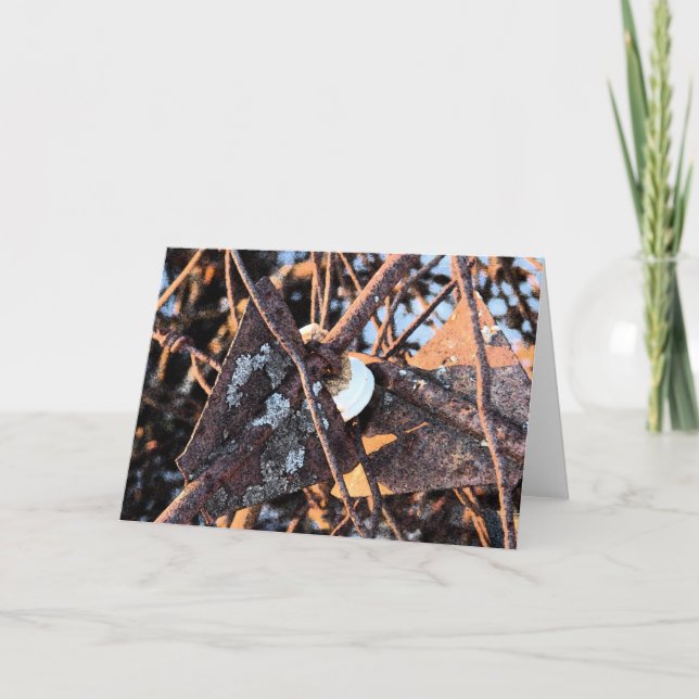 Junk Pile Rust and Fungi Still Life Card (Front)