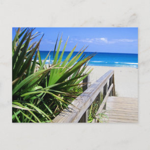 Juno Beach Florida Postcard
