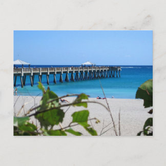 Juno Beach Pier Postcard