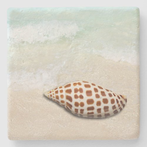 Junonia Seashell on the Beach Coasters