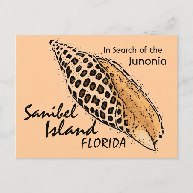 Junonia shell Sanibel Island humor postcard (Front)