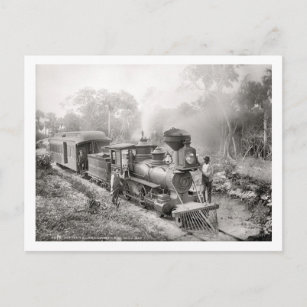 Jupiter and Lake Worth Railroad, Florida Vintage Postcard