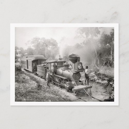 Jupiter and Lake Worth Railroad Florida Vintage Postcard