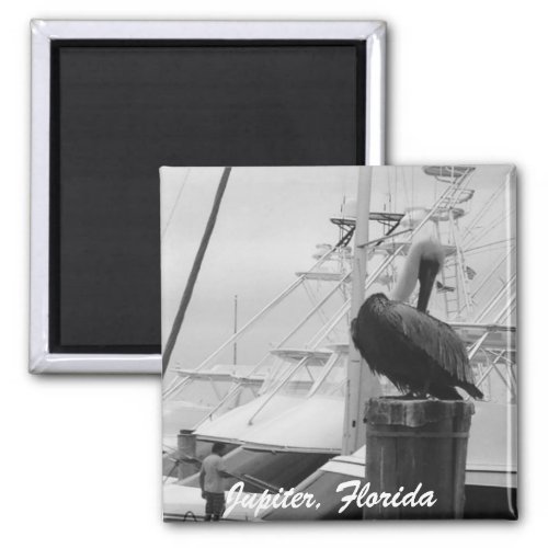 Jupiter Florida Boats  Pelican photo Magnet