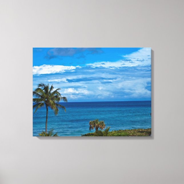 Jupiter Florida Canvas Print (Front)