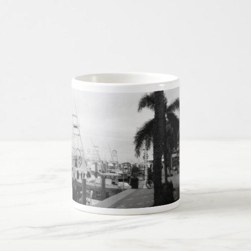 Jupiter Florida Photograph Coffee Mug