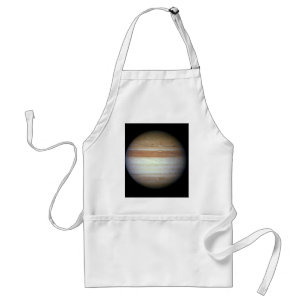 Jupiter June 7, 2010 Atmospheric Changes Adult Apron