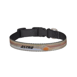 Jupiter's Surface | Custom Pet Collar
