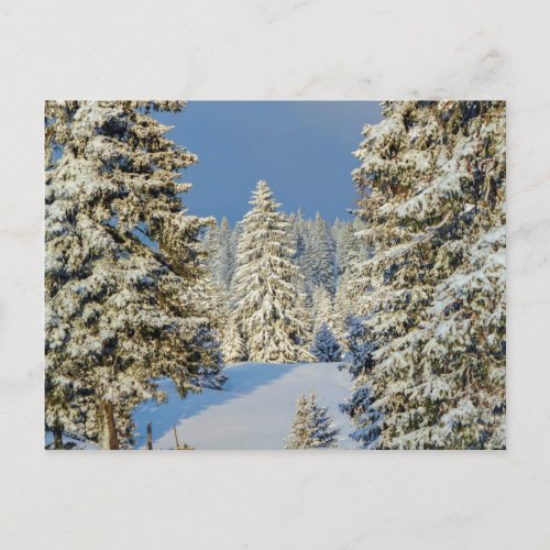 Jura mountain by winter sunset Switzerland Postcard