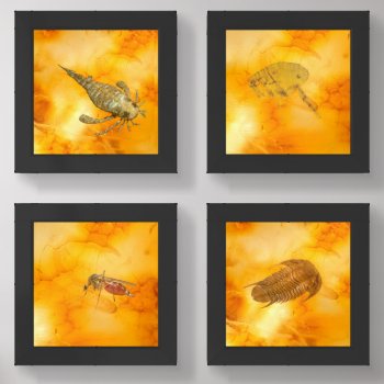 Jurassic Amber Set by GKDStore at Zazzle