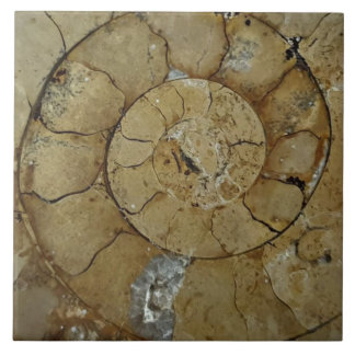 Jurassic coast ammonite large ceramic tile
