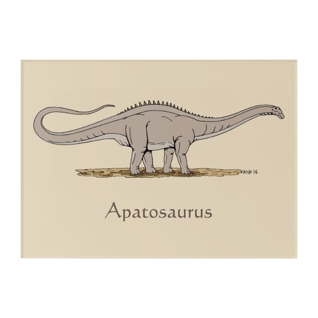 Jurassic Dinosaur Apatosaurus Acrylic Print (Front)